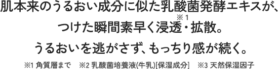 肌本来の潤い成分に似た乳酸菌発酵エキスが、つけた瞬間素早く浸透・拡散。