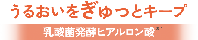 潤いをぎゅっとキープ。乳酸菌発酵ヒアルロン酸