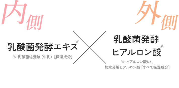 内側・乳酸菌発酵エキス、外側・乳酸菌発酵ヒアルロン酸